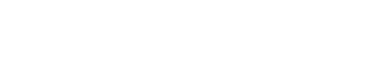 Stadtwerke Flensburg