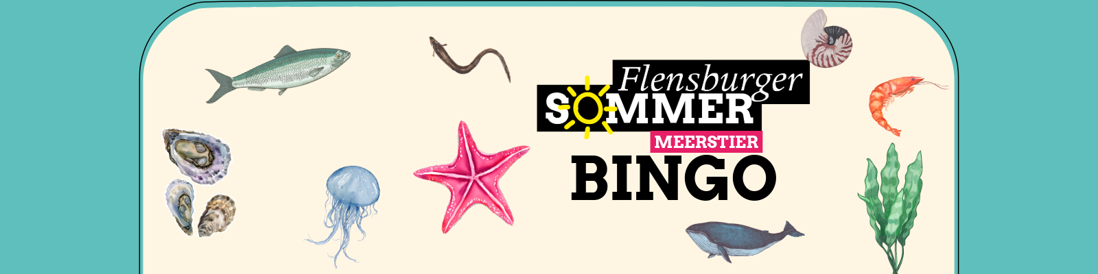 Grafischer Header für das „Flensburger Sommer Meerstier Bingo“ mit dem Spieletitel und Illustrationen von Meeresbewohnern wie Qualle, Seestern, Wal und verschiedenen Muscheln auf hellem Grund.